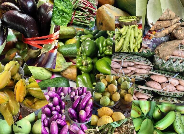 استراحتگاه South Pacific Memories