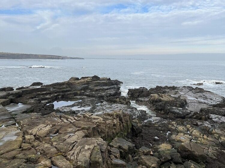 Sun Sea And Sand At Whitley Bay