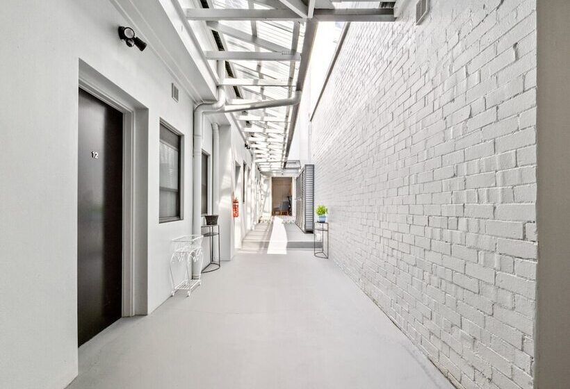 هاستل Venus Surry Hills   Female Only