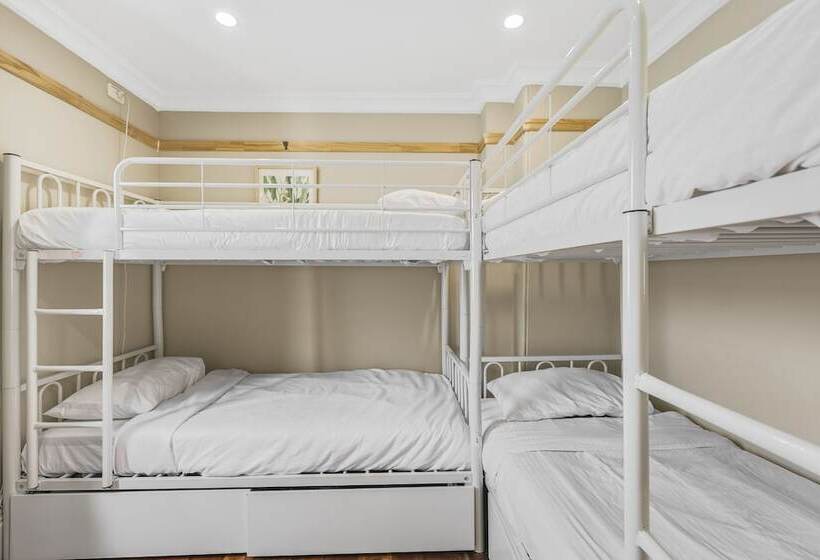 هاستل Venus Surry Hills   Female Only