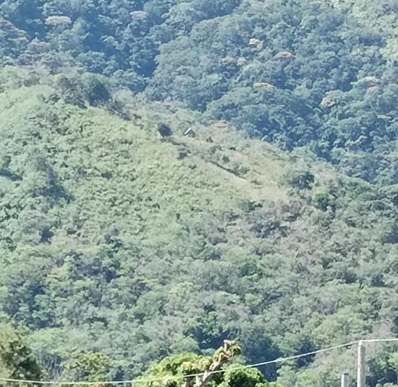 فندق صغير Hostal Buena Esperanza El Copé De La Pintada