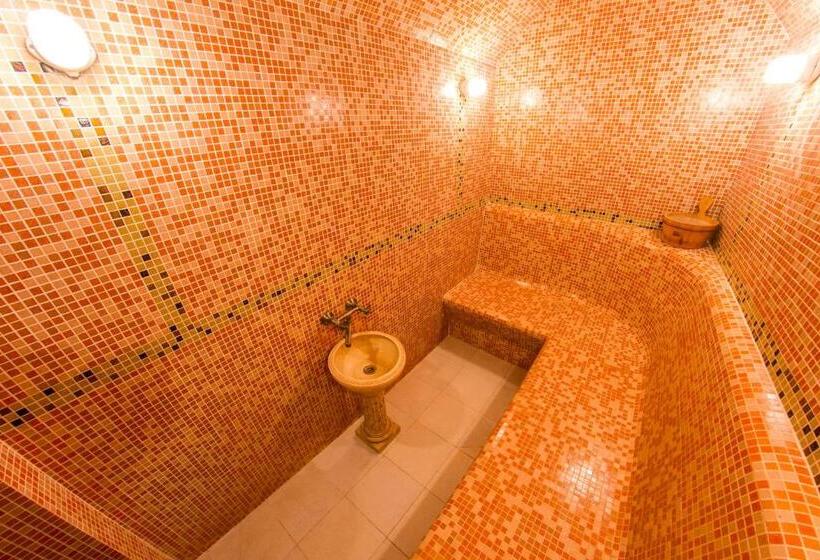 Cămin Spa отель