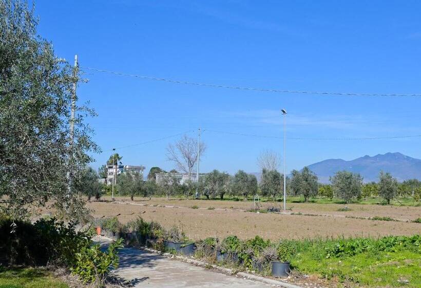 Bed and Breakfast Don Peppes : Villaggio Green