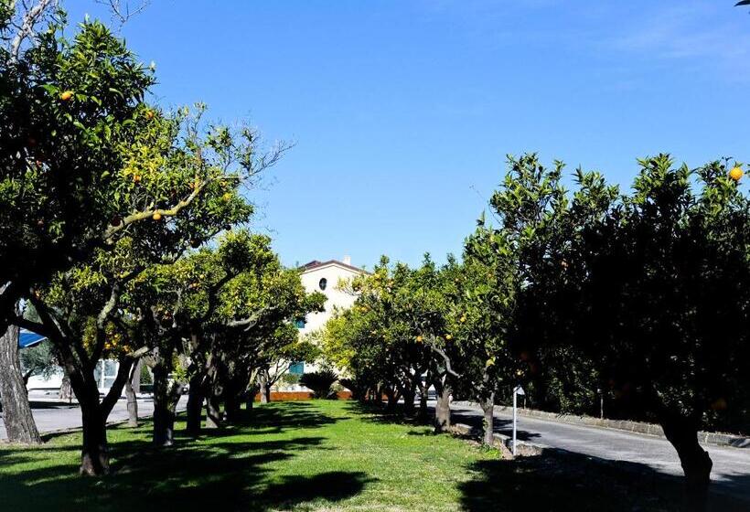 تختخواب و صبحانه Don Peppes : Villaggio Green