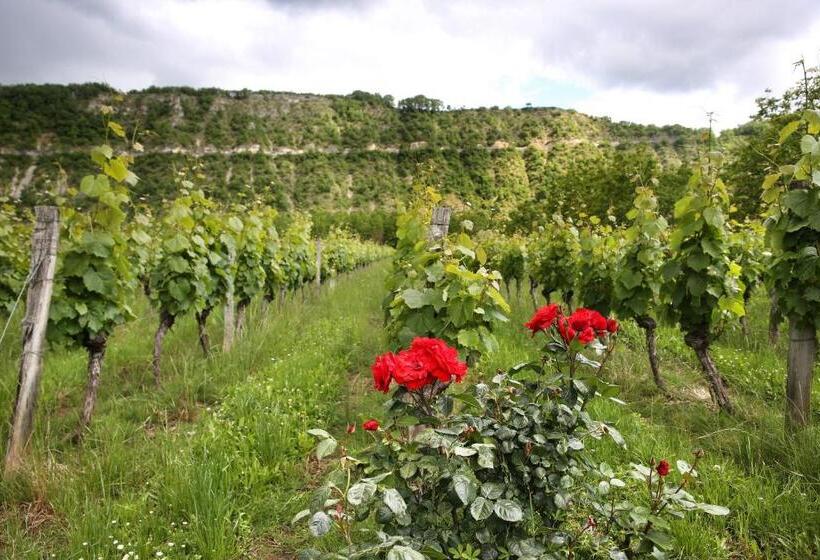 Bed and Breakfast Earl Domaines Delmas