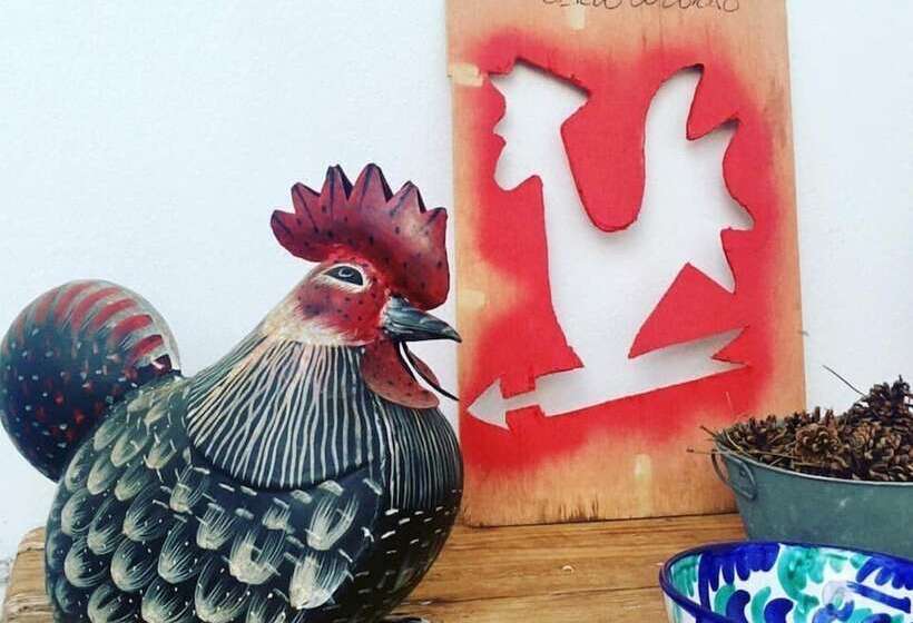 مبيت وإفطار Gallo Colorao   Adults Only