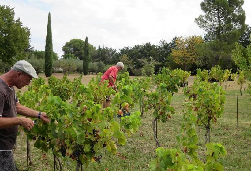 ベッドアンドブレックファースト La Baronne