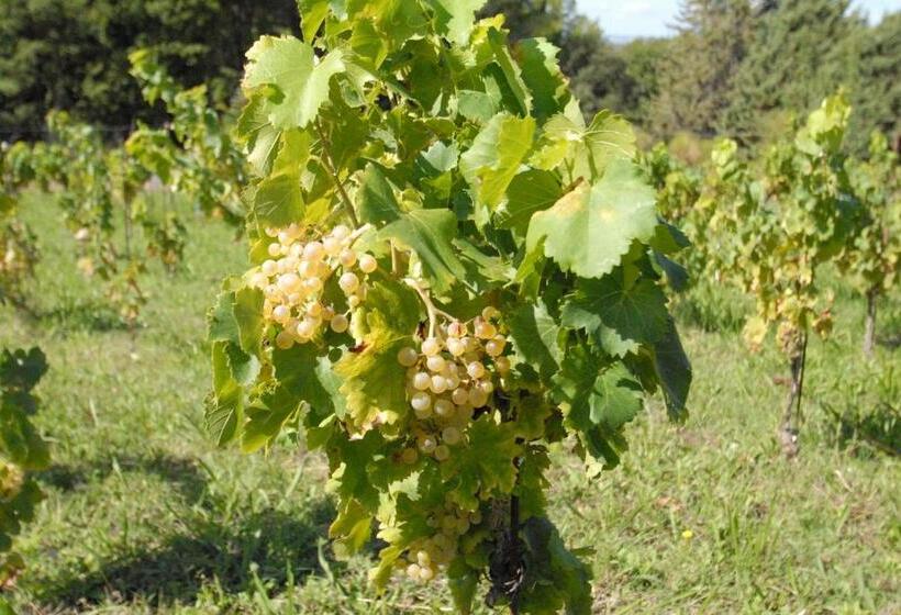 ベッドアンドブレックファースト La Baronne