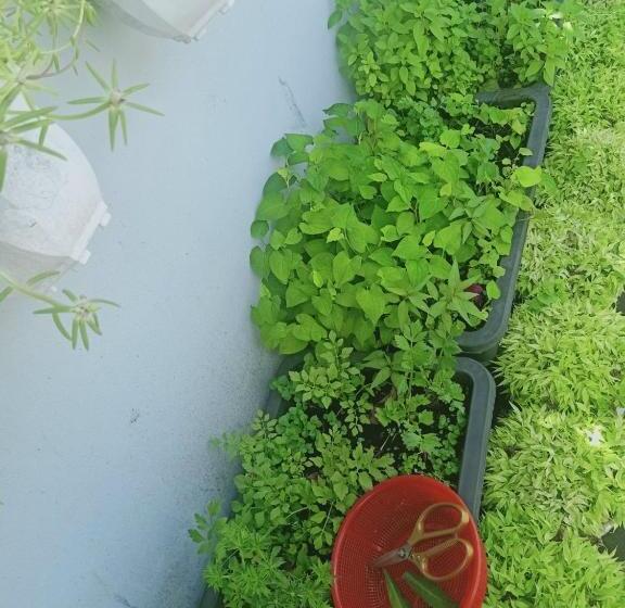 تختخواب و صبحانه Motel Minh Tâm 28