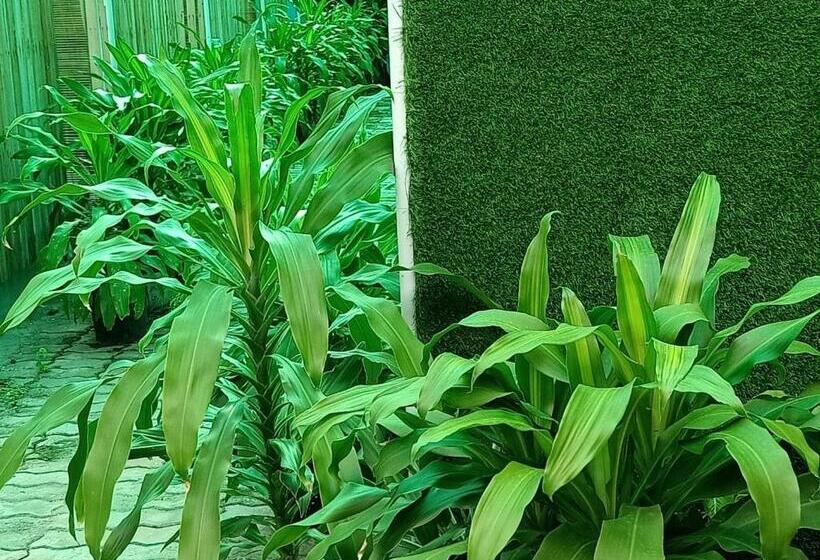 تختخواب و صبحانه Motel Minh Tâm 28