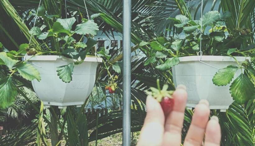 تختخواب و صبحانه Motel Minh Tâm 28