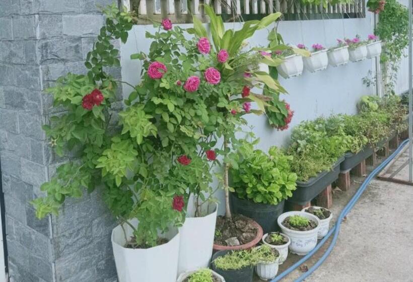 تختخواب و صبحانه Motel Minh Tâm 28