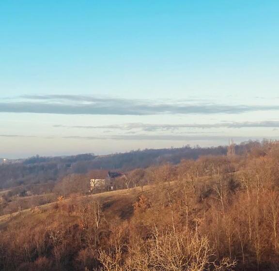 צימר Popasul Din Pietrar