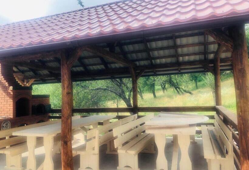 צימר Popasul Din Pietrar