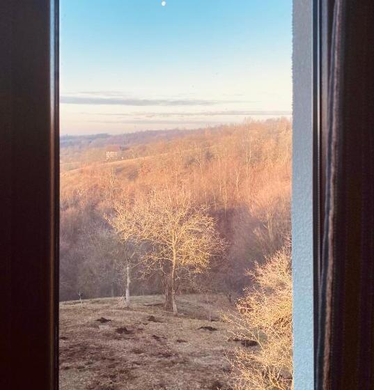 צימר Popasul Din Pietrar