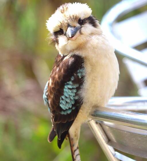צימר Southern Ocean Retreats   Deep Creek National Park