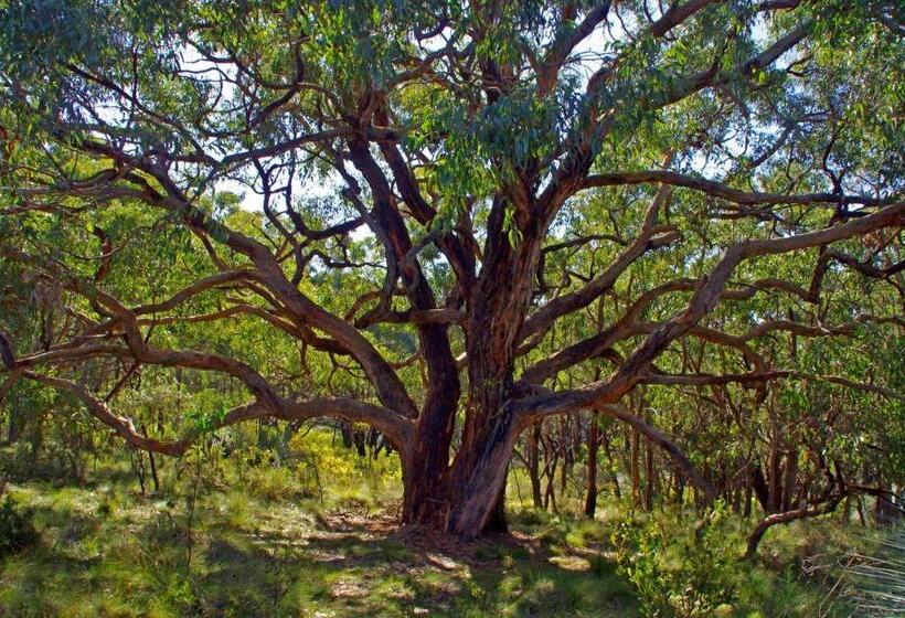 مبيت وإفطار Southern Ocean Retreats   Deep Creek National Park