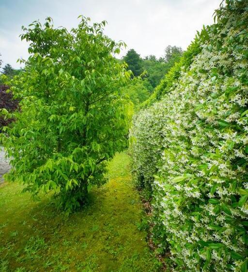 Bed And Breakfast Welcome