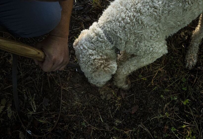 簡易ホテル Agriturismo La Grotta Dei Folletti