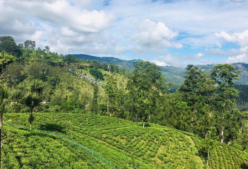 Отель Almost Heaven