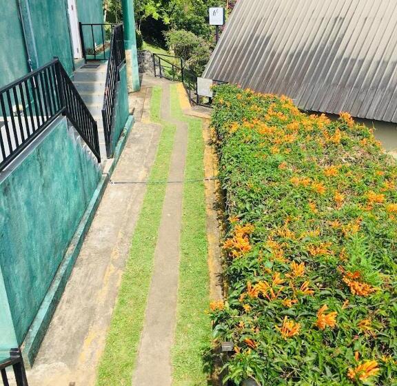 Отель Almost Heaven