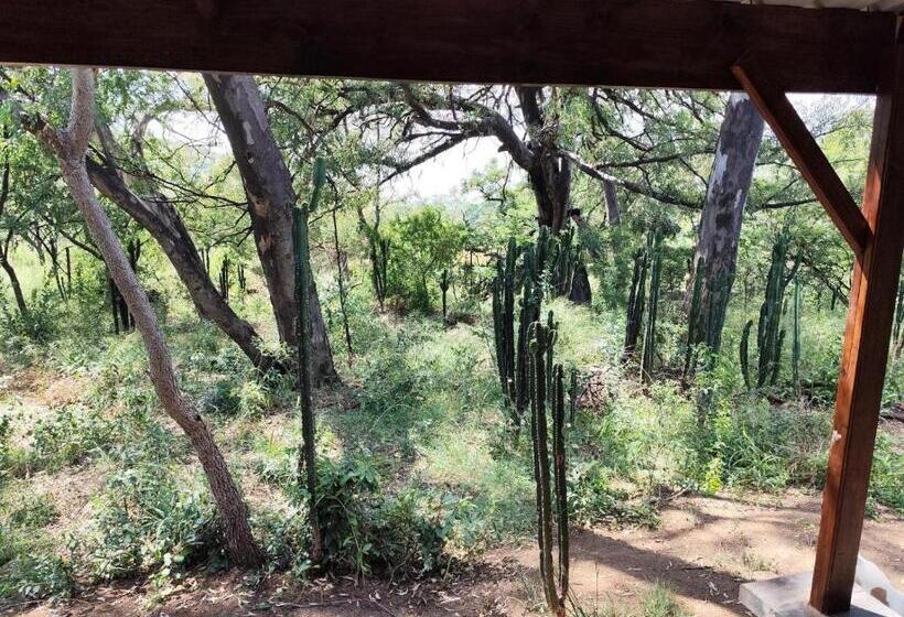 בית מלון כפרי Bethesda Mountain Lodge