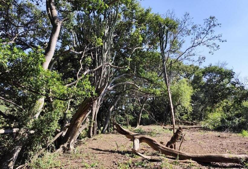 בית מלון כפרי Bethesda Mountain Lodge