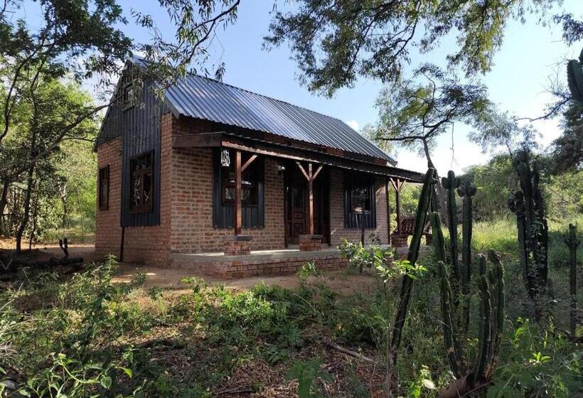 בית מלון כפרי Bethesda Mountain Lodge