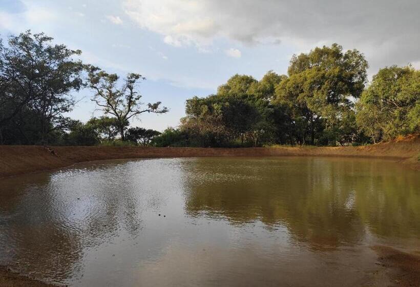 فندق Bethesda Mountain Lodge