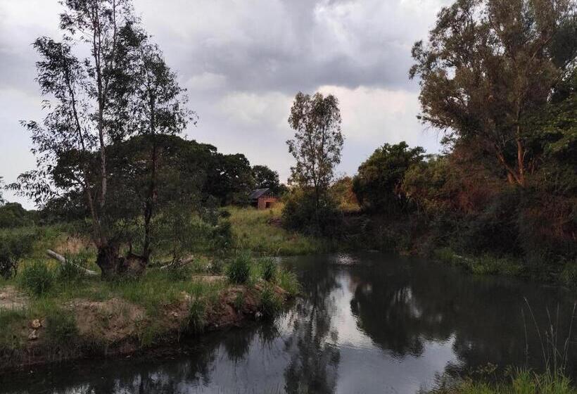 בית מלון כפרי Bethesda Mountain Lodge