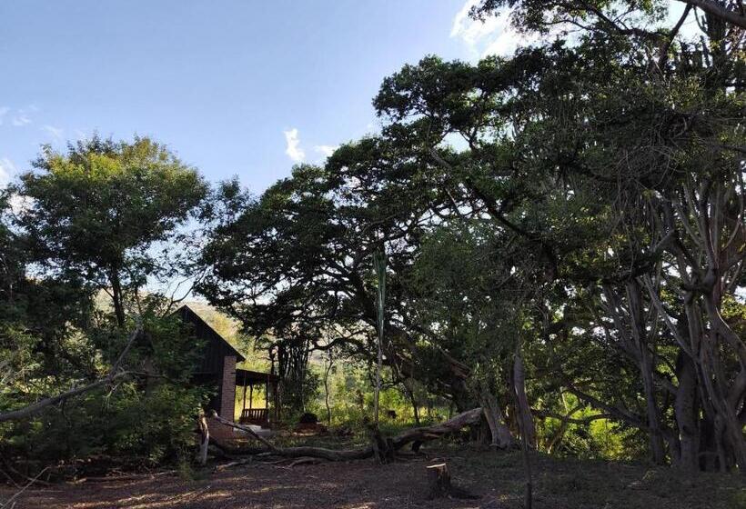 בית מלון כפרי Bethesda Mountain Lodge