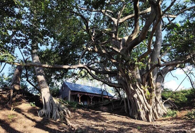 בית מלון כפרי Bethesda Mountain Lodge