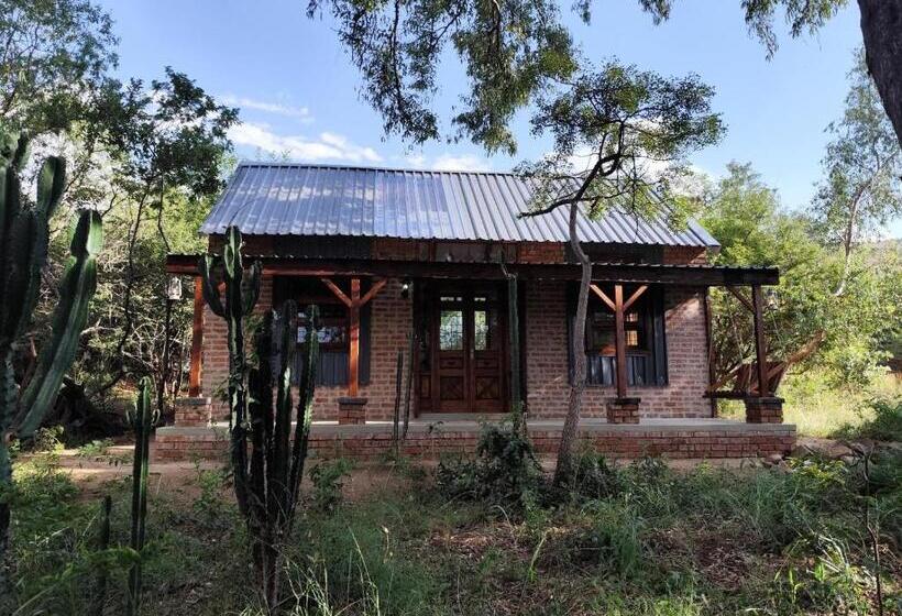 בית מלון כפרי Bethesda Mountain Lodge