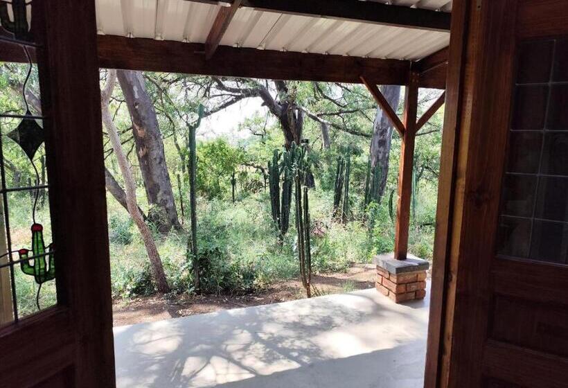 בית מלון כפרי Bethesda Mountain Lodge