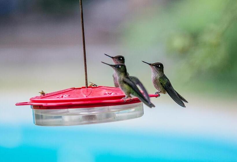 בית מלון כפרי Cabañas Hosteria De Vilches