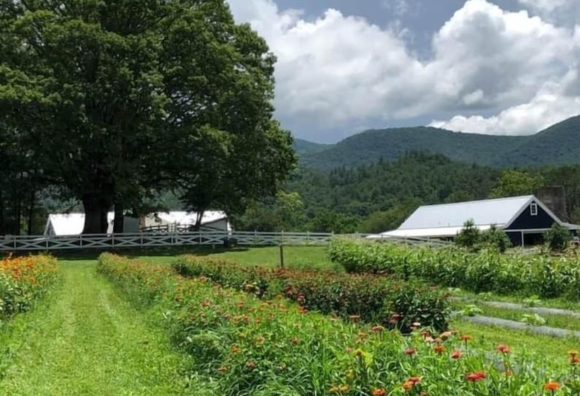 فندق Cottages At Julep Farms