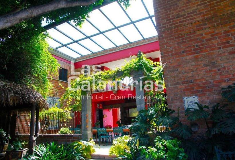 בית מלון כפרי Las Calandrias