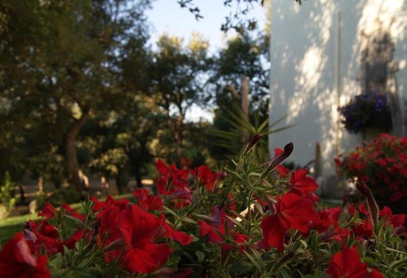 ホテル Le Sughere