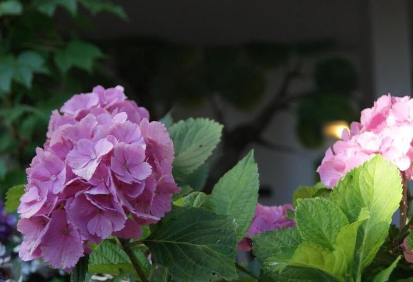 ホテル Le Sughere