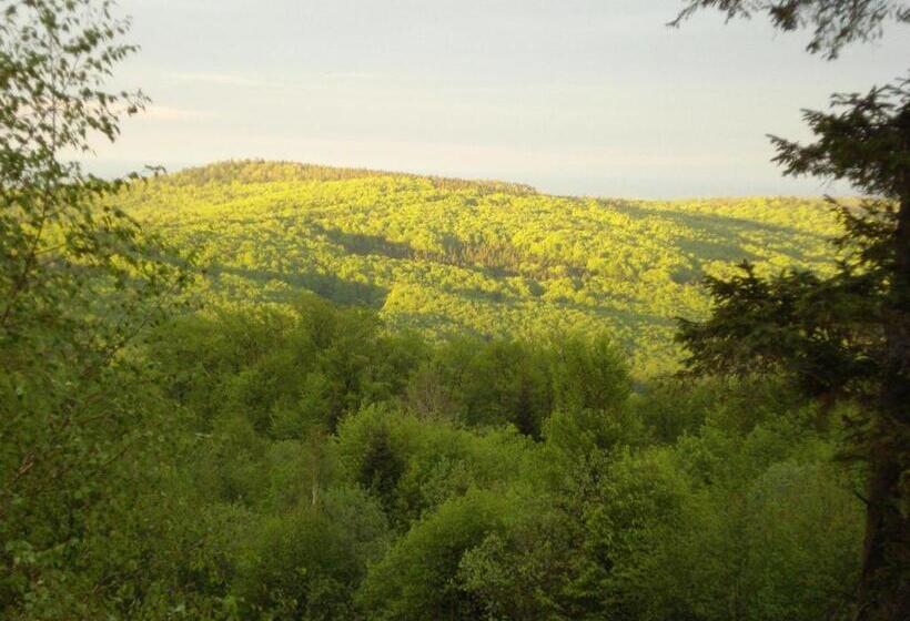 Otel Monastic Spa карпати