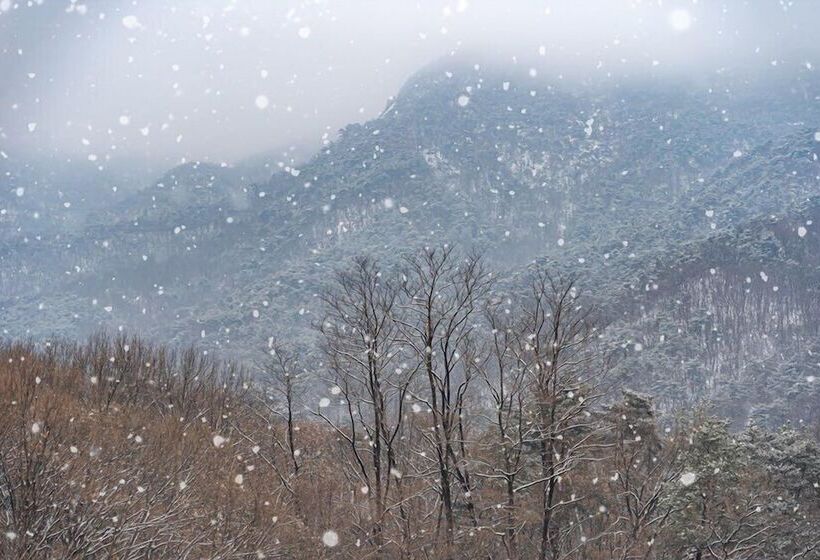 هتل Paraspara Seoul