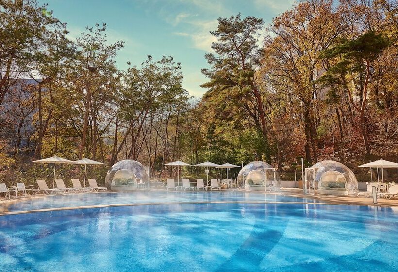 هتل Paraspara Seoul