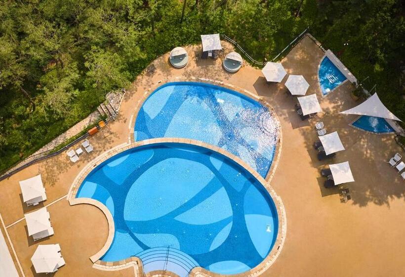 هتل Paraspara Seoul