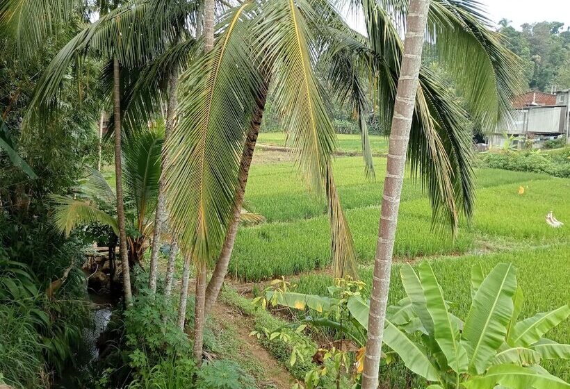 בית מלון כפרי Power Zone Guest House