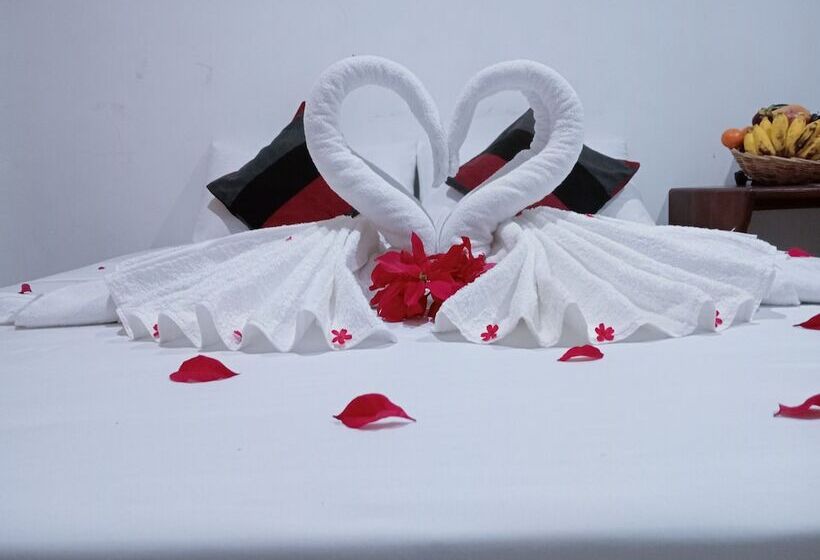 בית מלון כפרי Power Zone Guest House