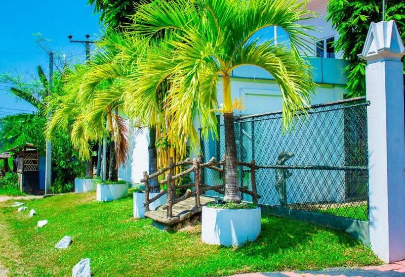 בית מלון כפרי Randima