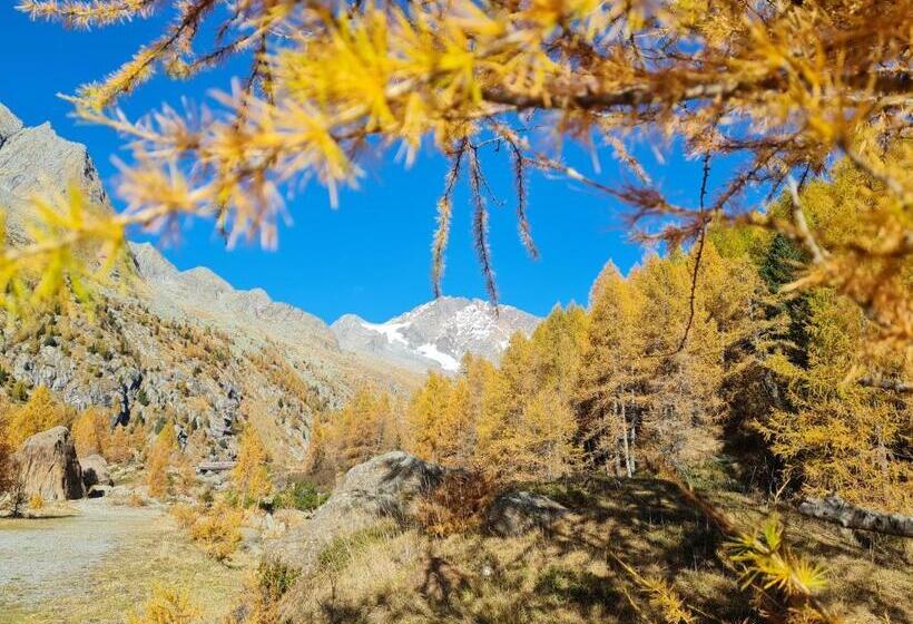 בית מלון כפרי Ristorante Bucaneve