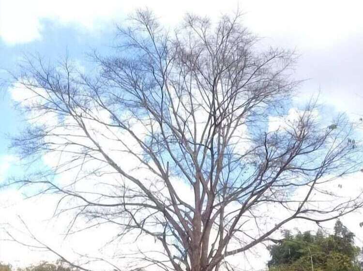 ホテル Sainamtok Resort