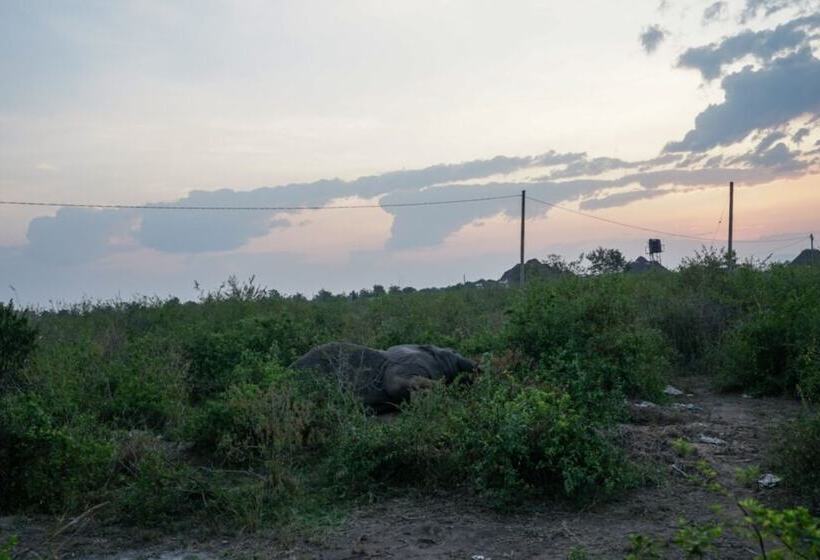 هتل Tabingi Safari Cottages