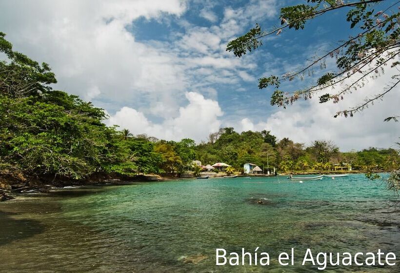 هتل Tacarcuna Lodge